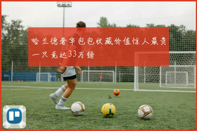 哈兰德奢华包包收藏价值惊人最贵一只竟达33万镑